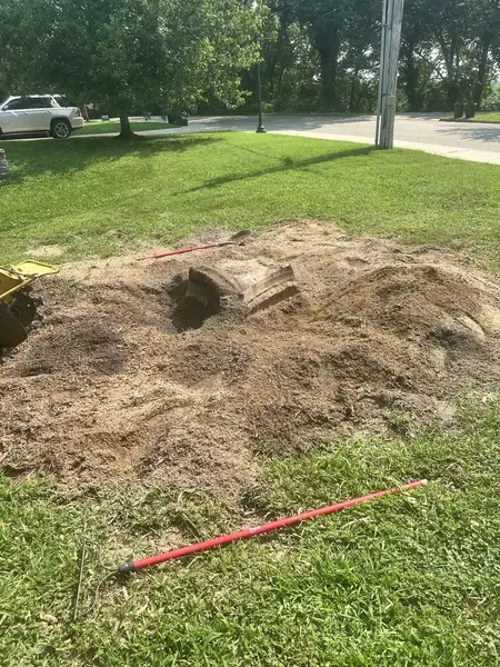 Stump area being ground with a rake nearby