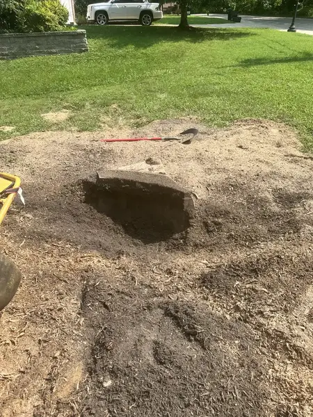 Hole being ground in a lawn where a stump stood