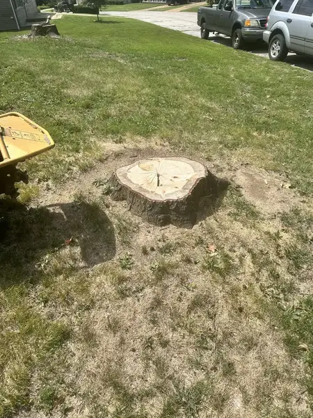 Stump grinder beside a stump on a sloped lawn by the street