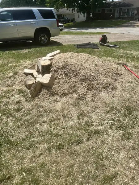 Wood chip mound with stump chunks