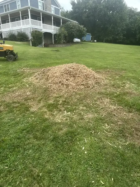 Wood chip mound in a large lawn