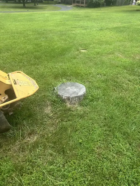 Stump grinder at a small stump in a lawn