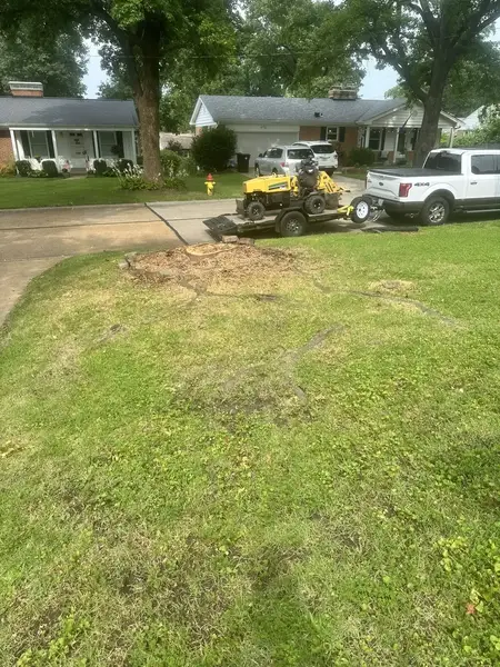 Stump grinder working in a front yard by the driveway
