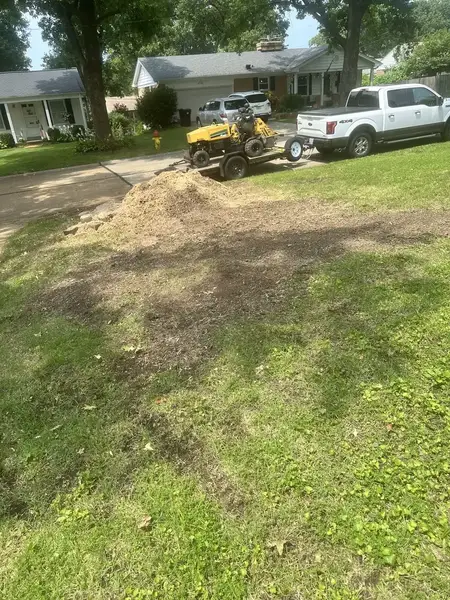 Wood chip mound in a front yard