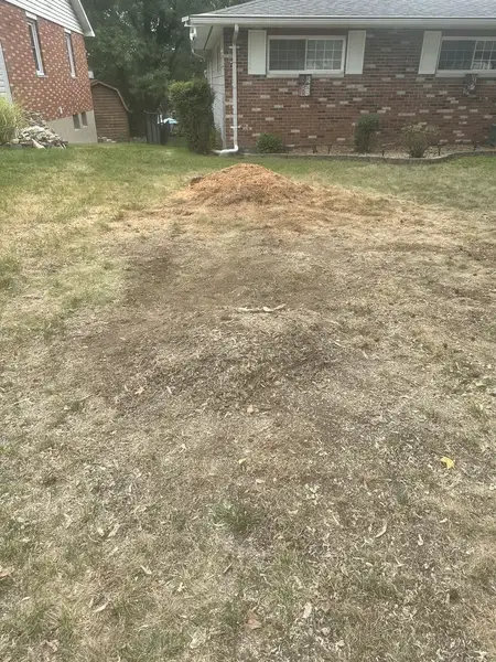 Wood chip patch in the front lawn of a brick home