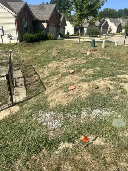 Front yard with stumps marked by a fence
