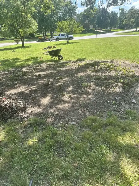 Ground-out patch in a lawn with a wheelbarrow