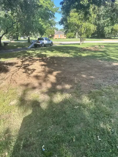 Ground-out patch in a sunny front lawn