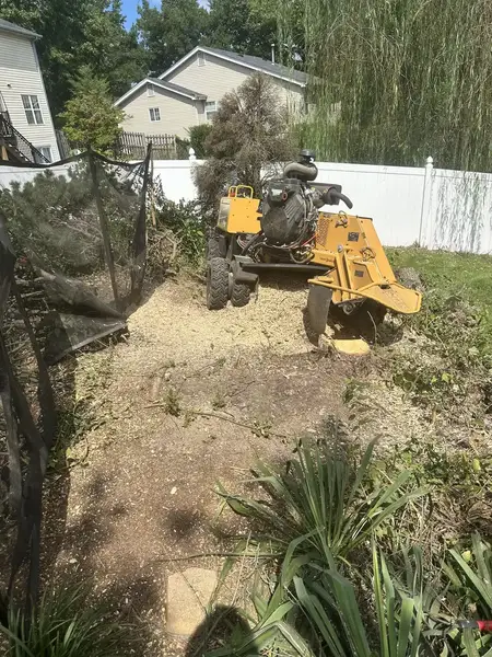 Stump grinder working in a fenced side yard