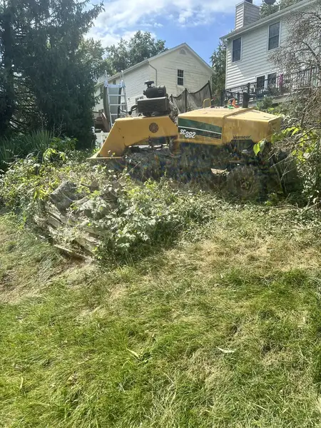 Stump grinder in an overgrown backyard
