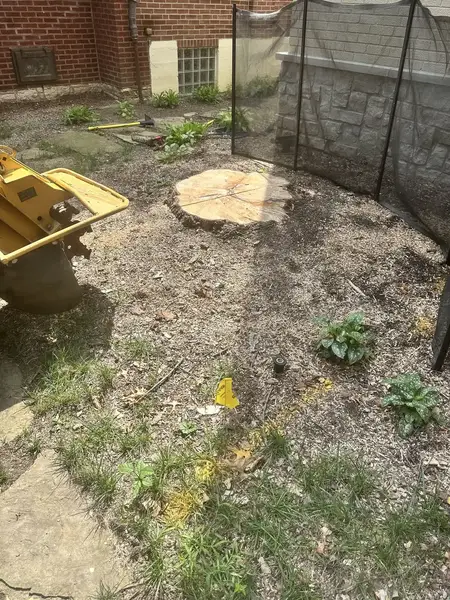 Stump grinder next to a stump by a brick house