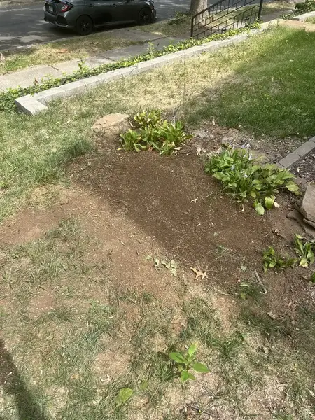 Ground-out strip along a sidewalk
