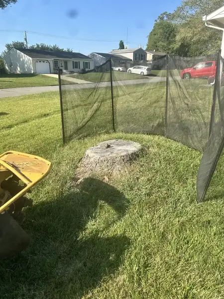 Stump grinder next to a stump behind a safety screen