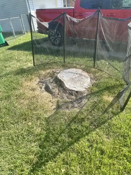 Stump behind a safety screen in a front yard