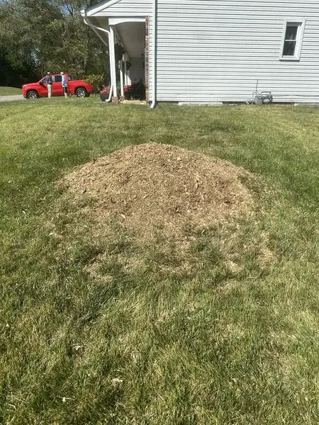 Wood chip mound in a front lawn
