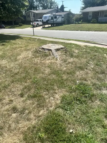 Stump in a front lawn near the street