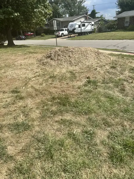 Wood chip patch in a front lawn near the street