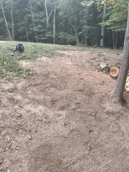 Leveled ground near the woods after stump grinding