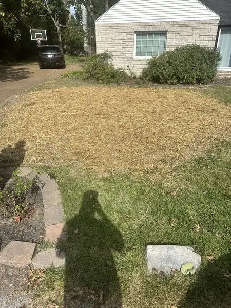 Wood chip area in the front lawn of a stone house