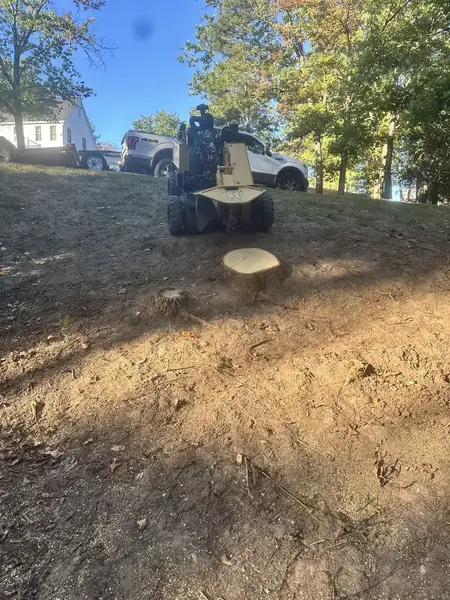 Stump grinder behind a stump on a hillside
