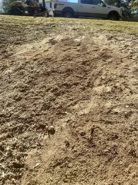 Graded ground after stump grinding