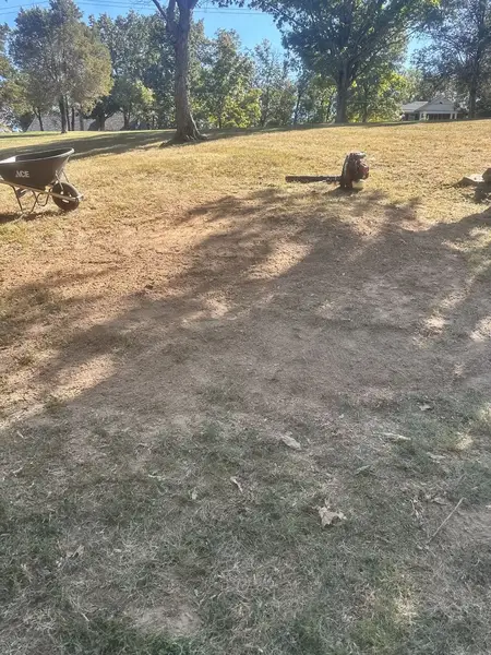 Ground-out patches in a sunny yard with a wheelbarrow