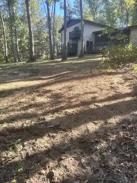 Ground-out area in a wooded backyard